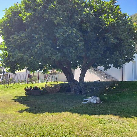 Casa Vacanze Perla Del Lago Domaso Eksteriør bilde