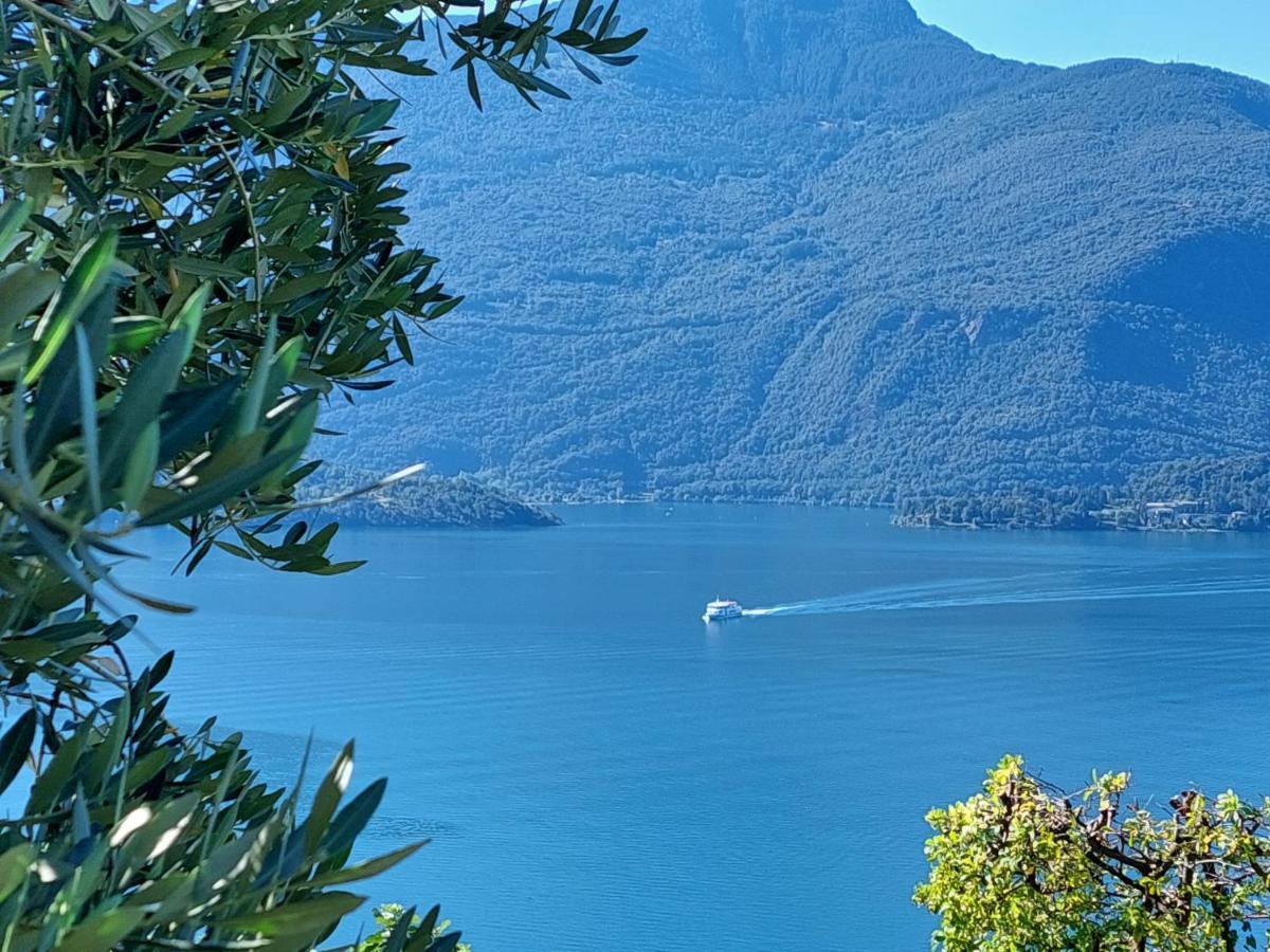 Casa Vacanze Perla Del Lago Domaso Eksteriør bilde