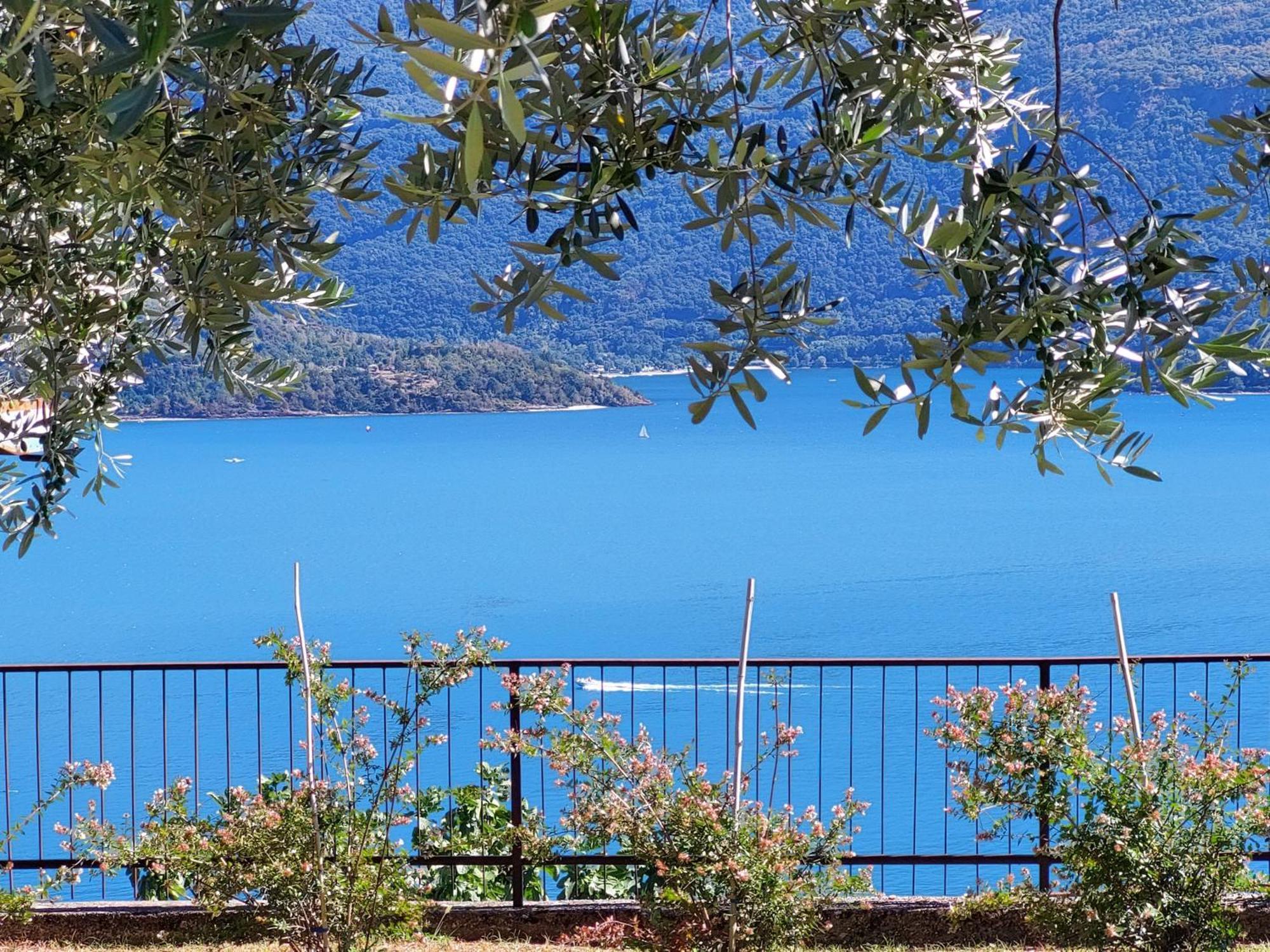 Casa Vacanze Perla Del Lago Domaso Eksteriør bilde